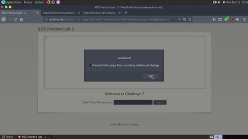 XSS Practice Lab 1