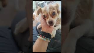 LUNA   VID 20231028 WA0017