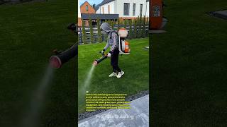 Perfect Lawn Spraying Process That Makes Grass Look Brand New