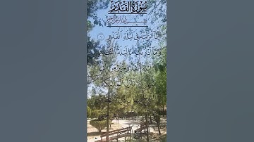 SURAH AL QADR BEAUTIFUL VOICE | QURAN TILAWAT | سورة القدر #egzonibrahimi #alqadr #surahqadr