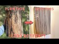 I Turn a Rotten Log into a Beautiful Light Fixture thumbnail