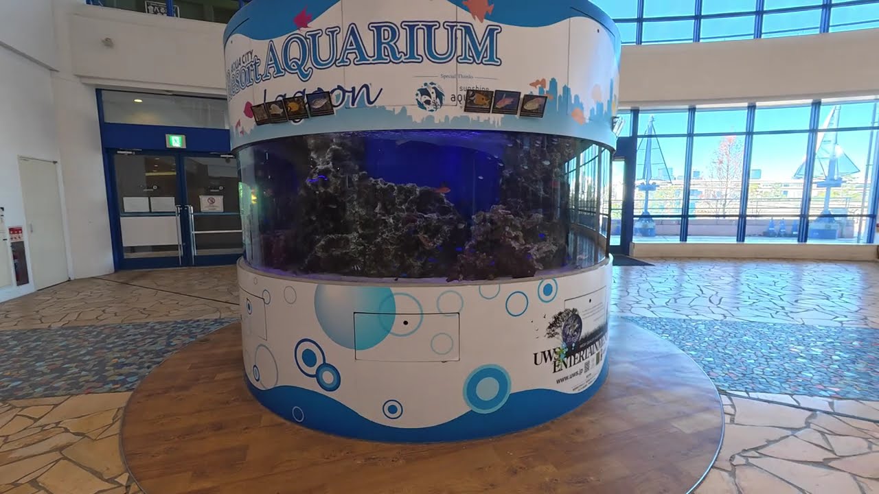 Slow Indoor Walk in Aqua City Odaiba | Relaxing Tokyo Mall Stroll 4K