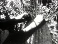 Mimbre - Sergio Bravo (1957) Documental
