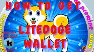 How to get LiteDoge Wallet screenshot 2