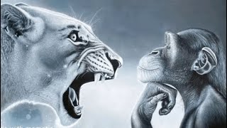 Download Lagu Baj Sesh 025 - action and reaction  MP3