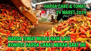 Info  Harga cabai merah besar hari ini  29 Maret 2024 | Kondisi harga tomat dan cabai dari petani