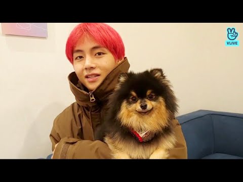 Vídeo: Qual raça é yeontan?