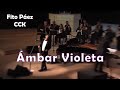 Ámbar Violeta - Fito Páez &amp; KASHMIR Orquesta - Páez en América - CCK 2015