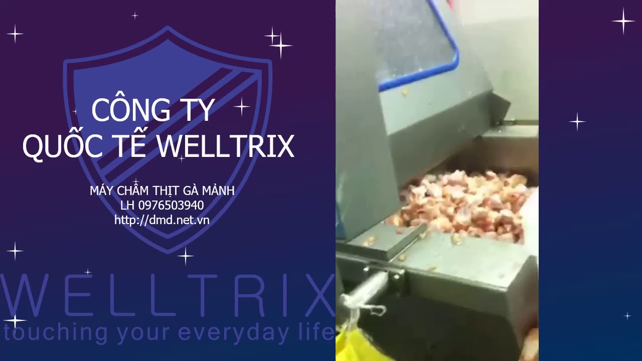 Máy châm thịt gà Welltrix