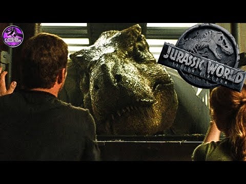 Kingdoms Video