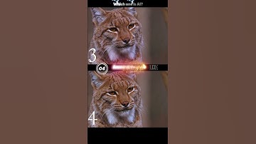 Extreme Visual Puzzles Only 1% Can Solve! 🧠�