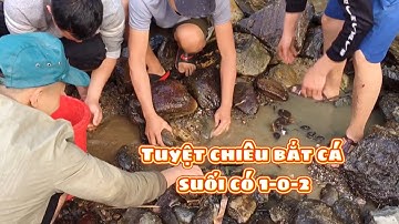 Ngăn dòng bắt cá suối | Tuyệt chiêu bắt cá suối ở miền núi