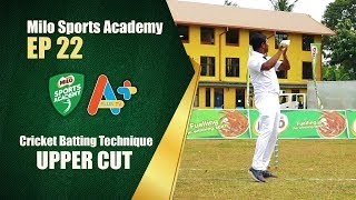 Milo Sports Academy Ep 22 I Cricket Batting Technique - Upper Cut