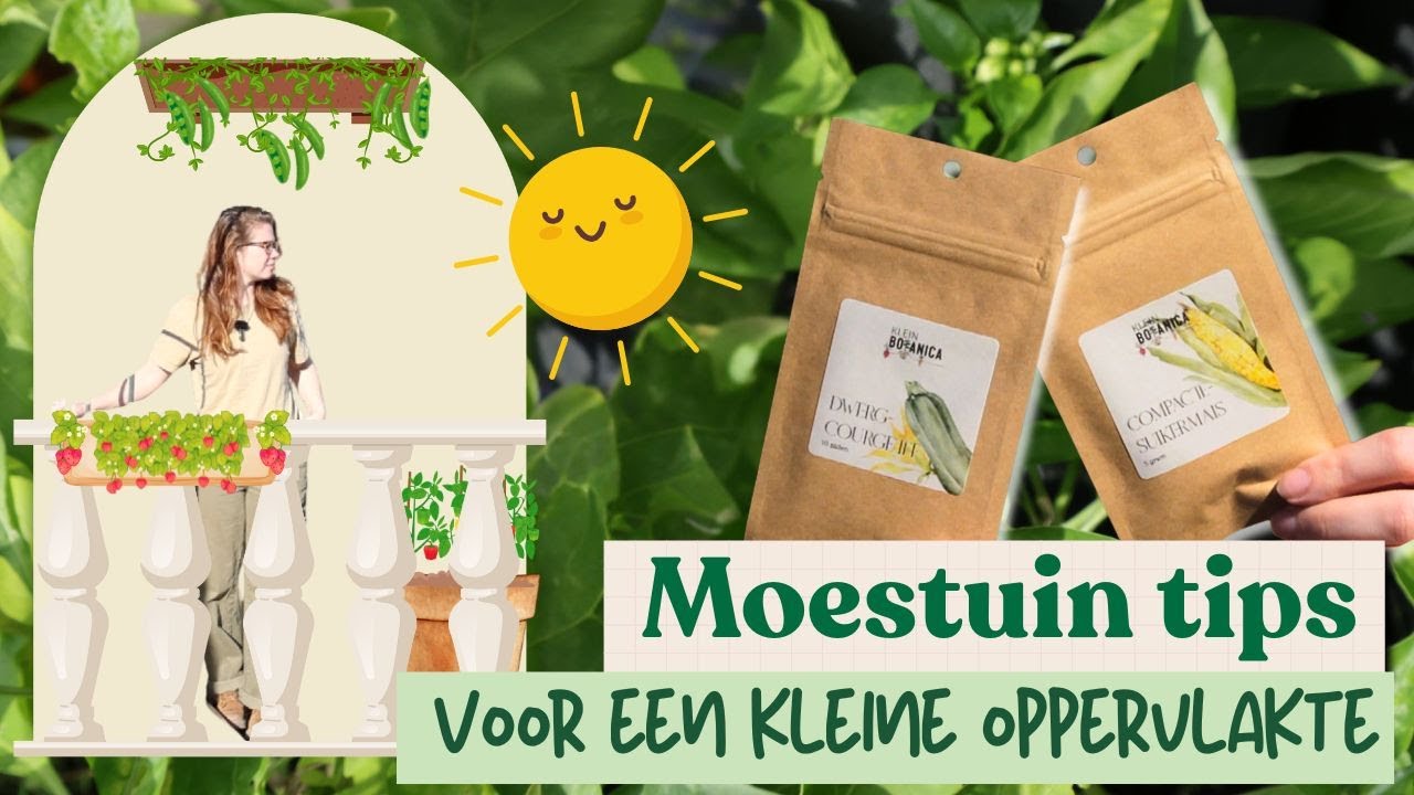 Moestuin tips | Voor een kleine oppervlakte! | Moestuinieren op het balkon of in het klein.