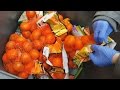 Food waste: How much food do supermarkets throw away? (CBC Marketplace)