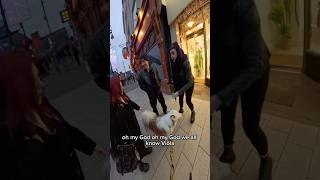 I took my dog to Leeds!! #shorts #leeds #viral #famous #doglover #viola #fyp #travel #viralshorts