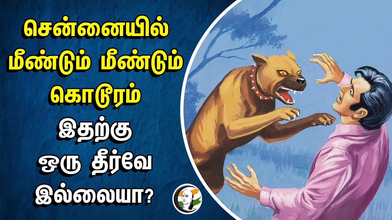 சென்னையில் மீண்டும் மீண்டும் கொடூரம் இதற்கு ஒரு தீர்வே இல்லையா? | Chennai | Mangadu | Rottweiler Dog