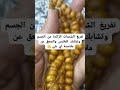 ضاع نص عمرنا  منعرفش  فايدة  السبحة  الخشب      معلومات  اكسبلور سمعها