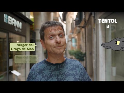 Vídeo: Quines plantes atreuen els pit-roigs: consells per atreure els pit-roigs al vostre jardí