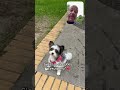 Sie ist sooooo süß❤️