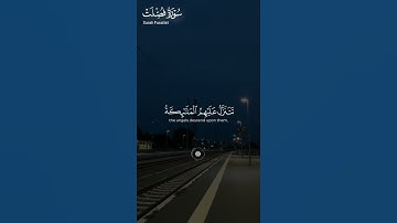 ما تيسر من #سورة_فصلت ||حالات واتس قرآن ||القارئ#عبدالباسط_عبدالصمد #تلاوة_هادئة