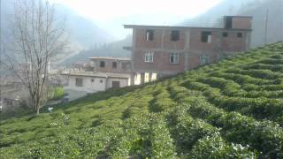 Trabzonaraklı Yeşilköy Köyü Goga Ev Ev Manzara Resimleri Tur Türkeri