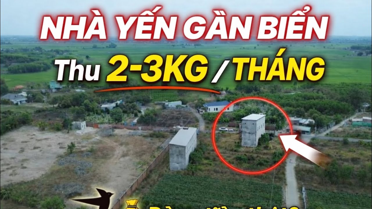 Nhà yến gần biển dòng tiền thật thu nhập 1 tháng  2-3kg yến ở vũng tàu.