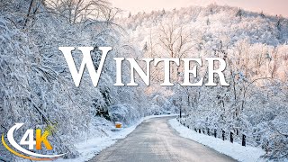 Winter • 4K Nature Relaxation Film • Peaceful Relaxing Music • 4K Video Ultra HD