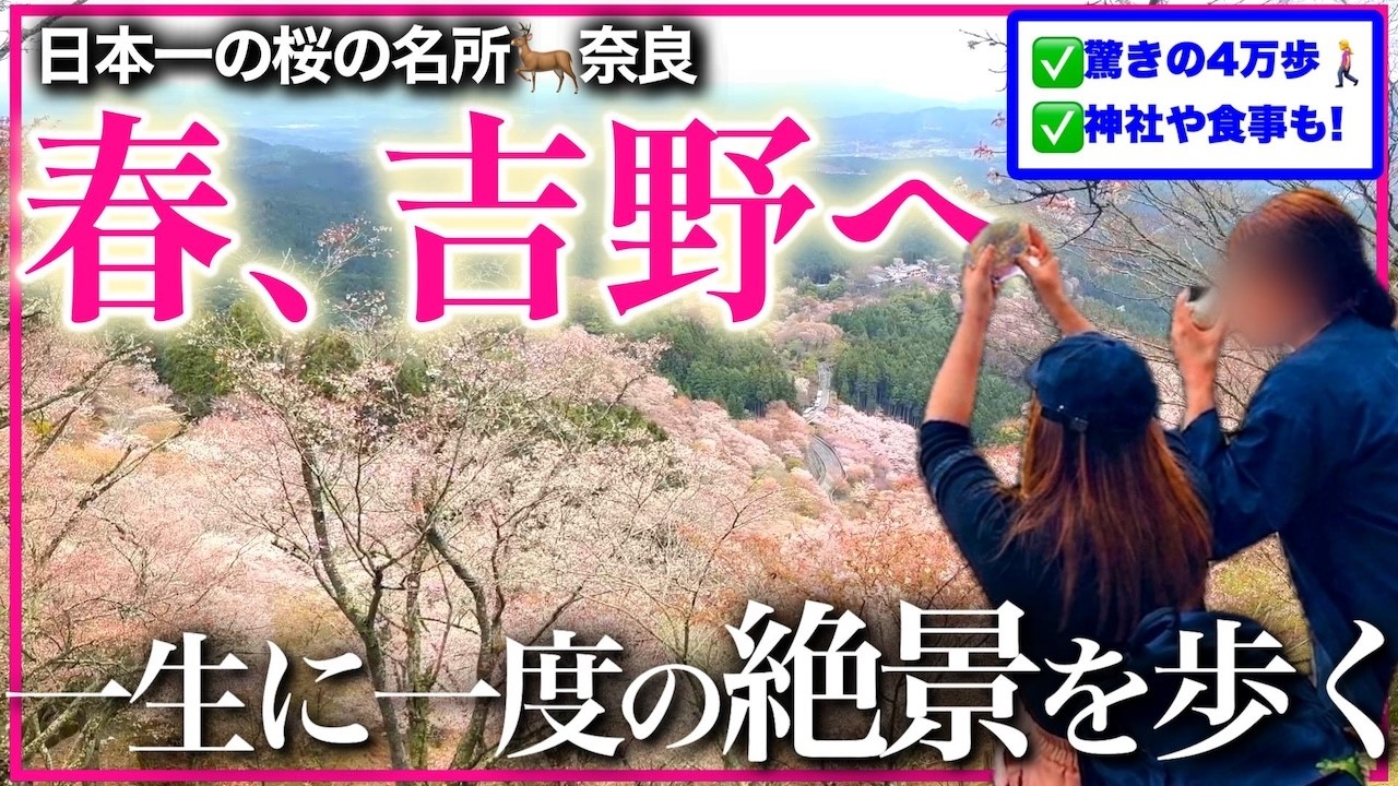 【奈良 吉野山2026】一生に一度は見たい千本桜の絶景🌸奥千本まで世界遺産を歩く【4万歩の記録】