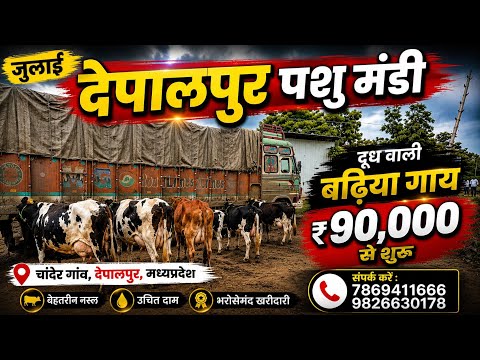 30 लीटर रोज़ दूध देने वाली जर्सी गाय 😱 कीमत सुनकर चौंक जाएंगे |Depalpur Pashu Mandi |Kisan Se Bharat