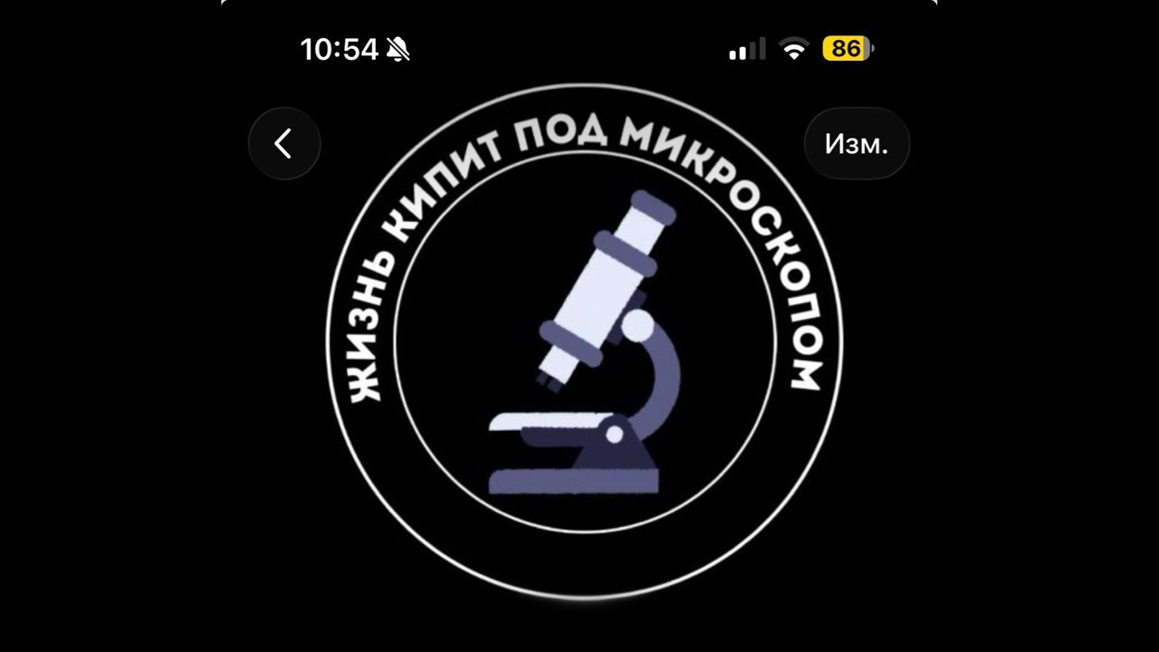 Глисты под Микроскопом против Йода