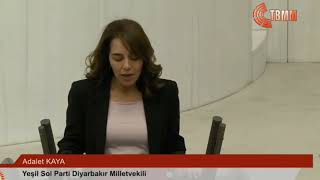 Adalet Kaya - Yeşil Sol Parti Diyarbakır Milletvekili Yemin Konuşması