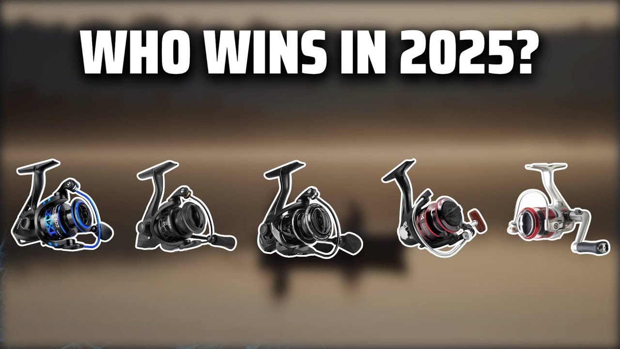 The Top 5 Best Ultralight Reel in 2025 - Must Watch Before Buying ...