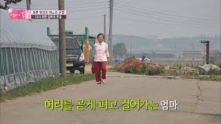 다시 찾은 엄마의 웃음 [엄마의 봄날] 45회 20160606