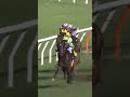 8 | 4 | GIANT BALLON | Z Purton #Purton #Horse #Racing #Sport #Results #賽馬結果 #马會 #油管 #赛马结果