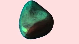 HLSL Shader For Bluebottle Fly