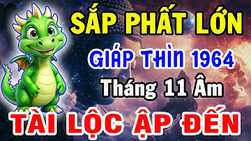Tháng 11 Âm Lịch: Giáp Thìn 1964 Bùng Nổ Vận May – Điều Chắc Chắn Sẽ Xảy Ra!