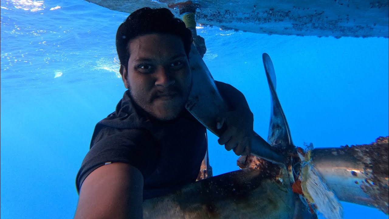 Under water exploring video with GoPro camera⚓️🛟 - YouTube