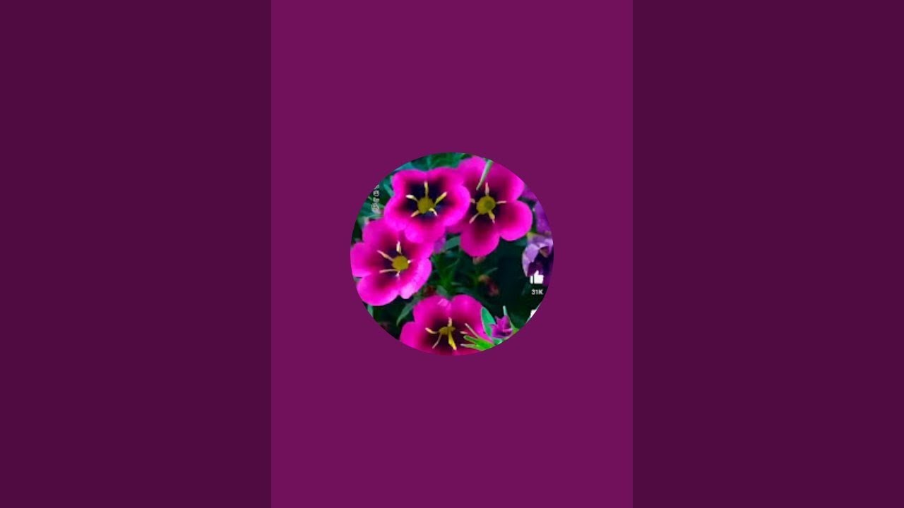 Kailash multi squad is live!