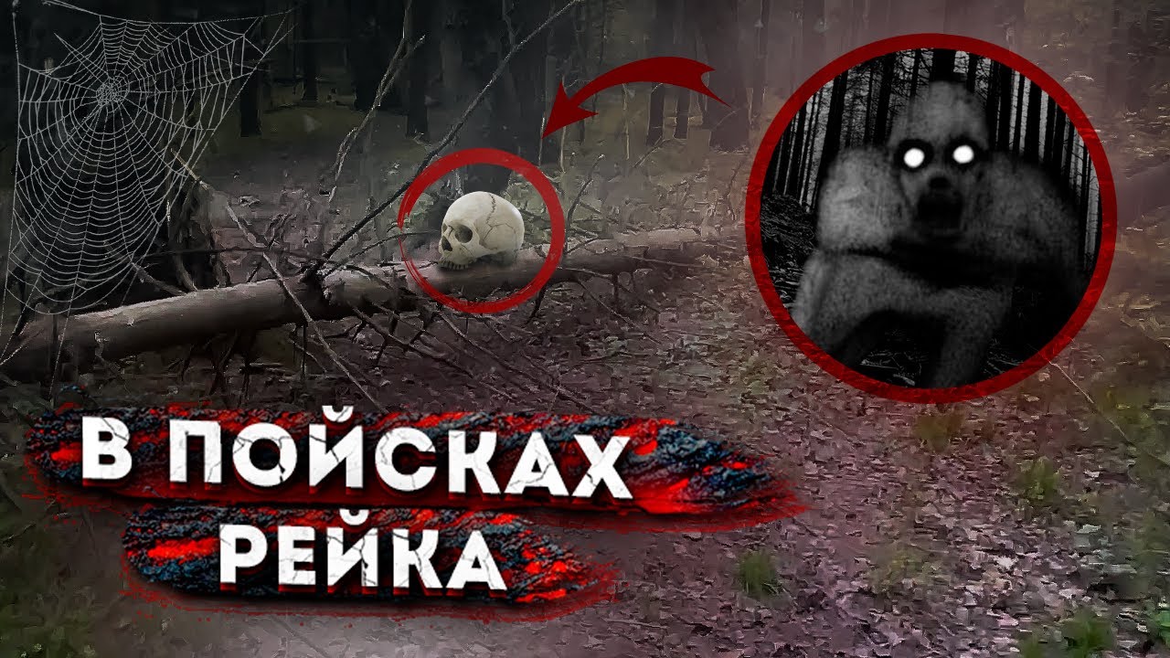 НАШЁЛ РЕЙКА?? в ОГРОМНОМ ЛЕСУ!?????? - YouTube