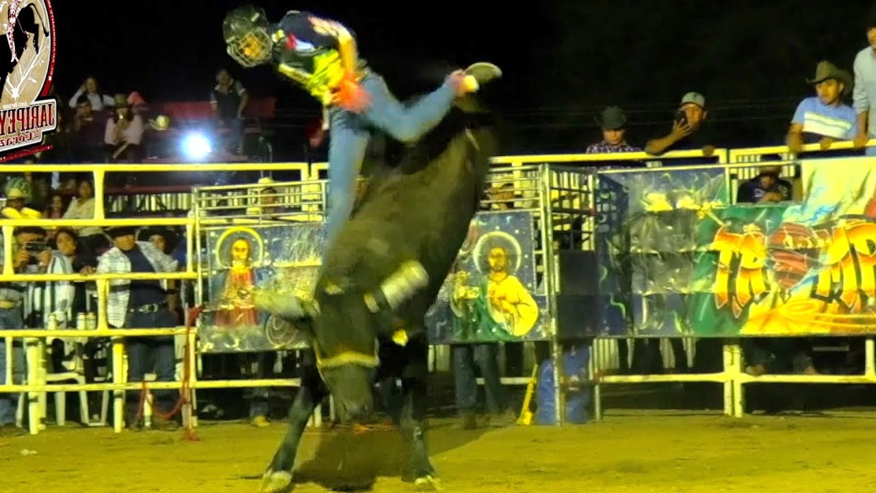 QUE POTENCIA TIENE ESTE TORO Rancho La Palma En Nexpa Morelos 2023