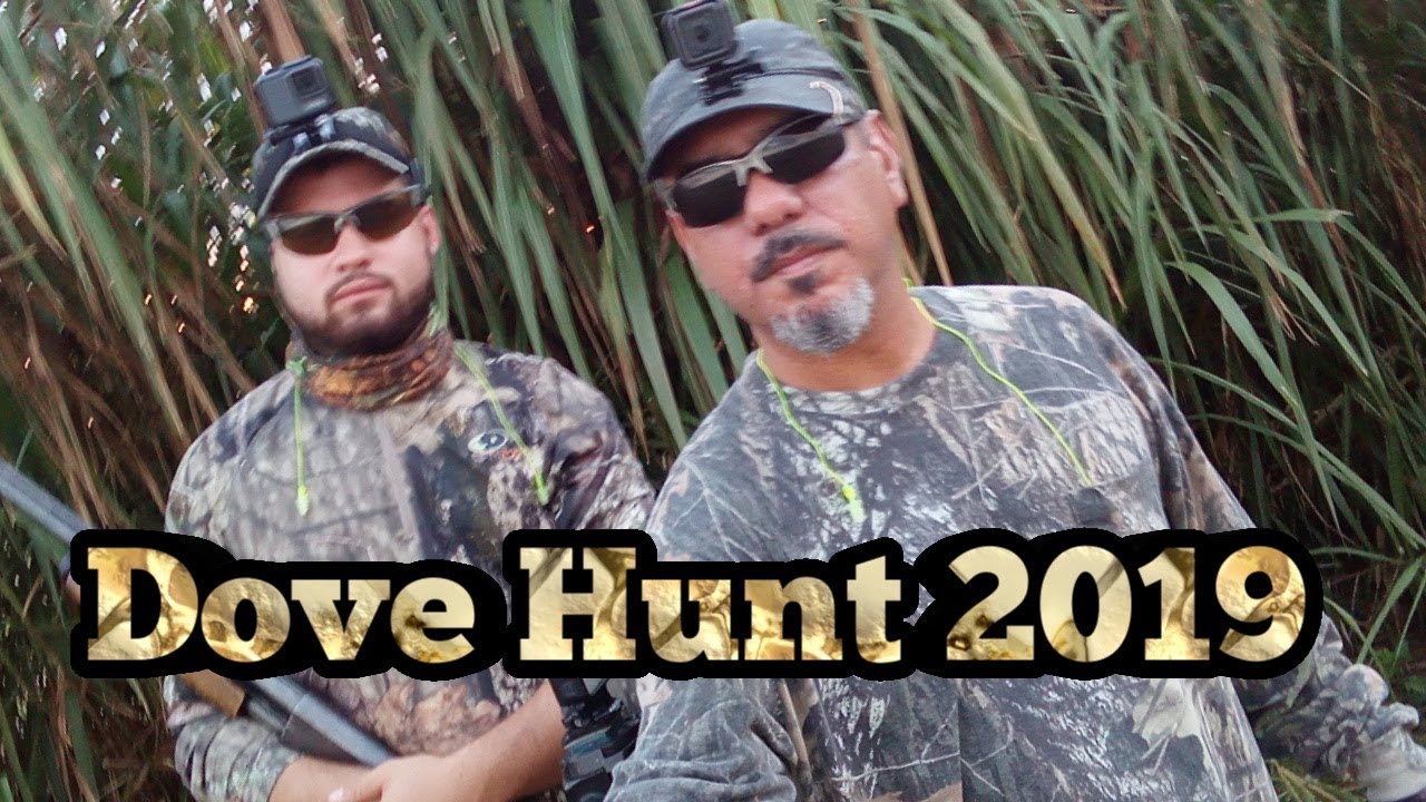 Охота на голубей 2019 — ПОЙМАЙ И ПРИГОТОВЬ — от поля до тарелки