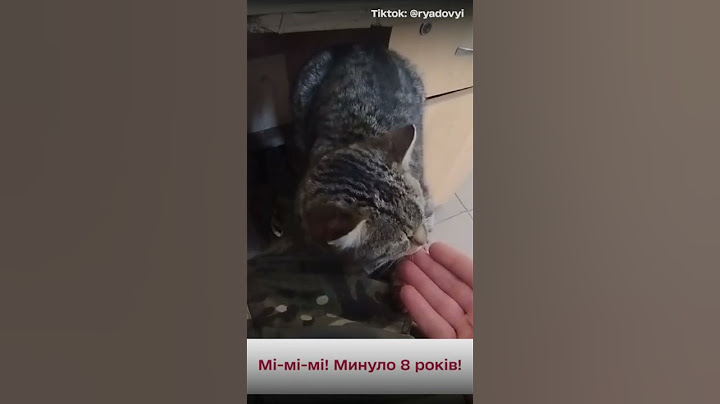 Військовий показав свого улюбленця на фронті. Каже, роки тренувань не минули марно! Перевіримо? :)))