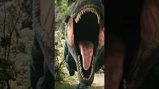 Juric Parka Çevirdiniz A R O G