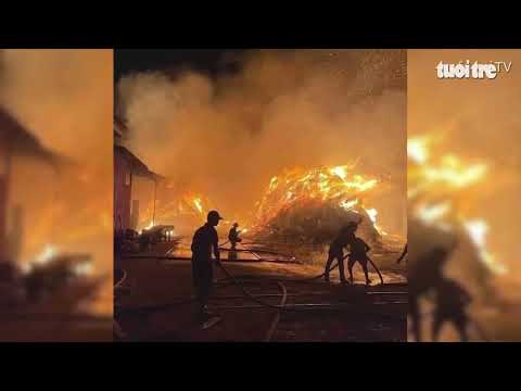 Video Góc nhìn trưa nay | Khẩn trương ngăn chặn bệnh Whitmore - youtube