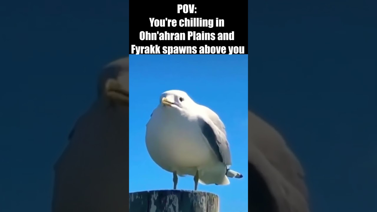 Fyrakk Assaults In A Nutshell