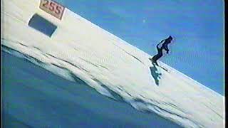 Lipitor - Skiing - 2005
