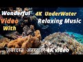 Nature relaxation rare  colorful sea life  rss entertainment world