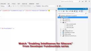 Sitecore Training: Developer Fundamentals Series-Creating a VS Project for Sitecore Team Development