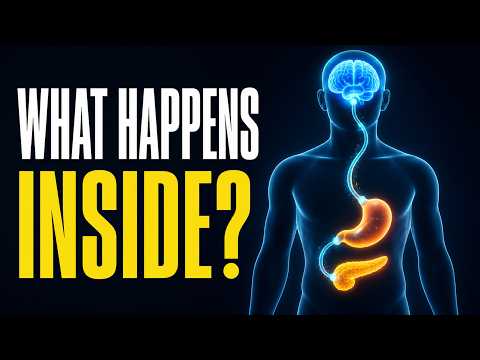 glp-1 video What is a agonist, and how does it work? GLP-1 Agonists: What They Do